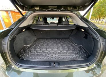 Lexus RX300